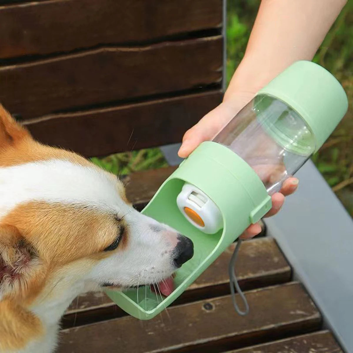 Portable Dog Water Bottle - 500ml Leakproof Pet Travel Bottle For Walking